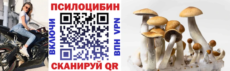 Галлюциногенные грибы Cubensis  Ульяновск 